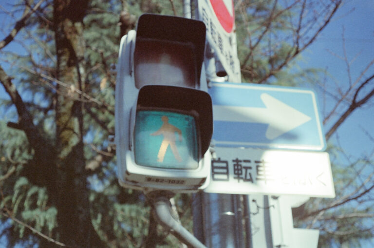 78320029